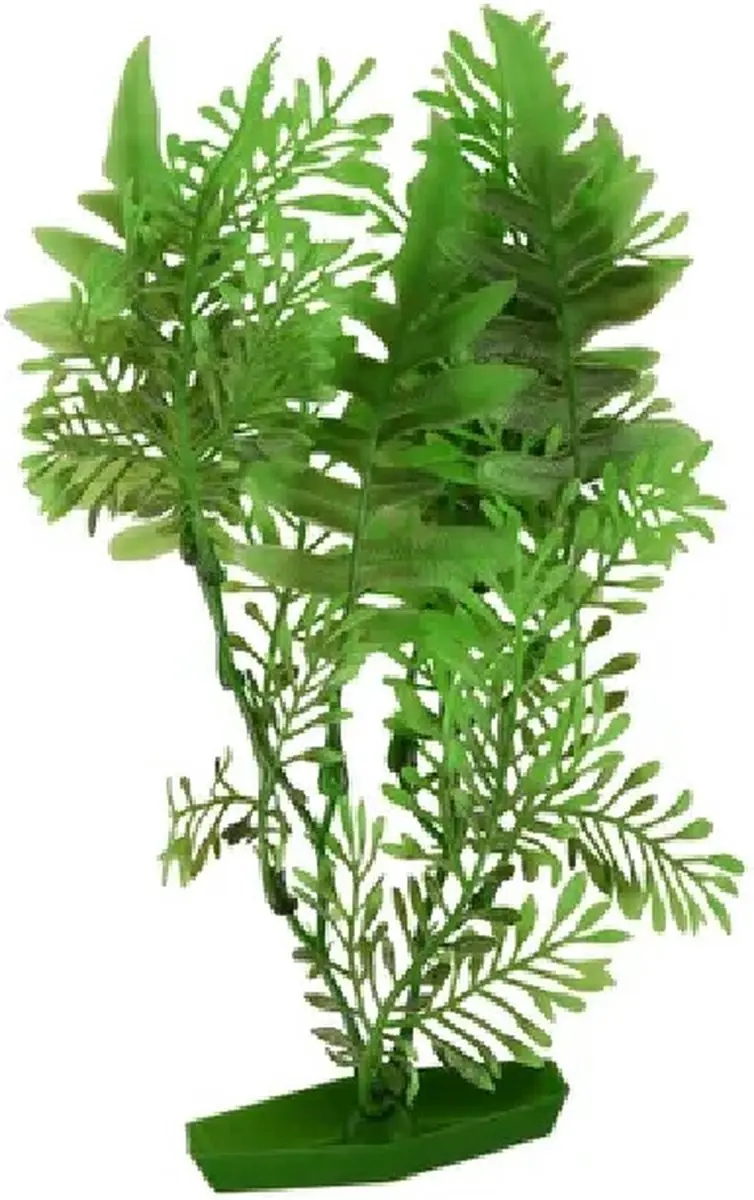 Flamingo Aquariumplanten Assortiment 10cm