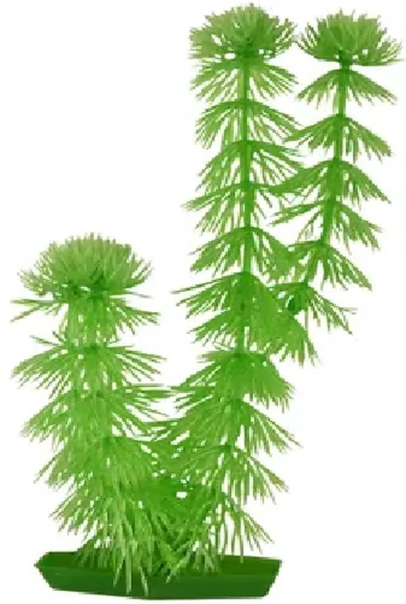 Flamingo Aquariumplanten Assortiment 10cm