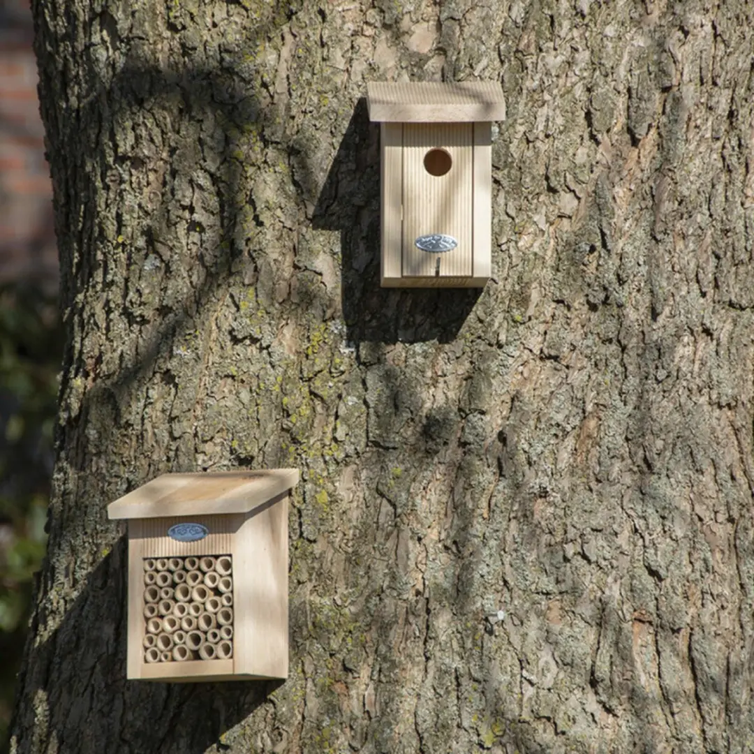 Esschert Design Nestkast Winterkoning Elzenhout - Hangend - afbeelding 6 van 6