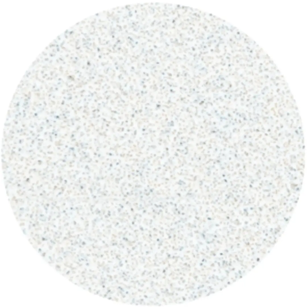 STALEKS PODODISC PDFS-15-100 Witte Refillpads - 50 Stuks