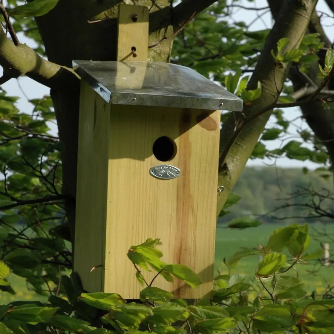 Esschert Design Observatie Vogelhuisje Houtkleur