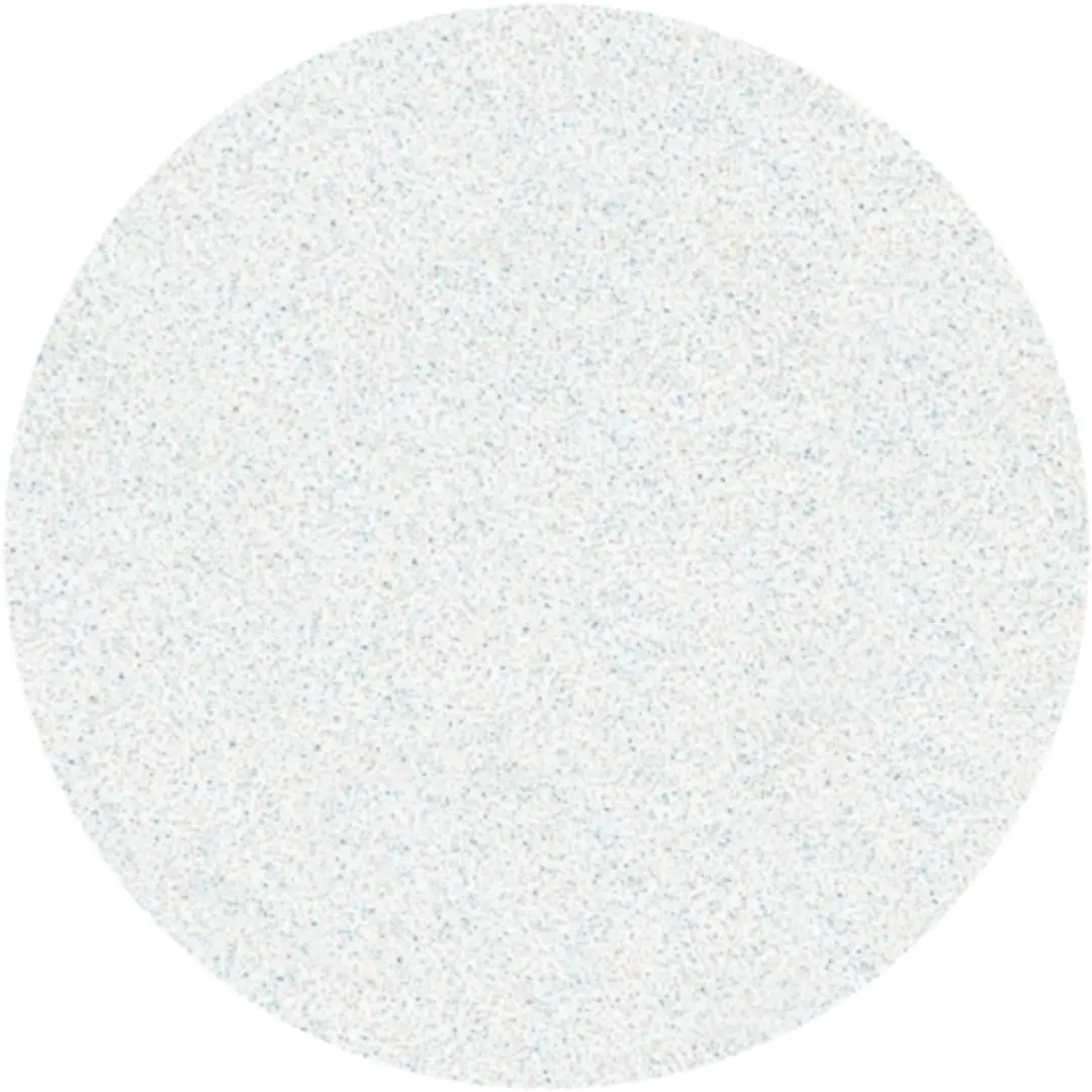 STALEKS PODODISC PDFS-25-240 Witte Refillpads 50 Stuks - 25mm Grit 240