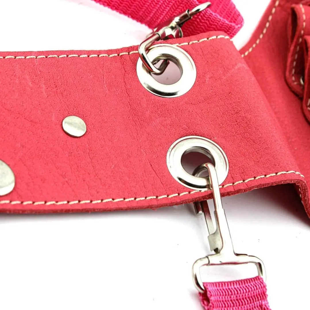 Haryali London Roze Unisex Salonschaaretui