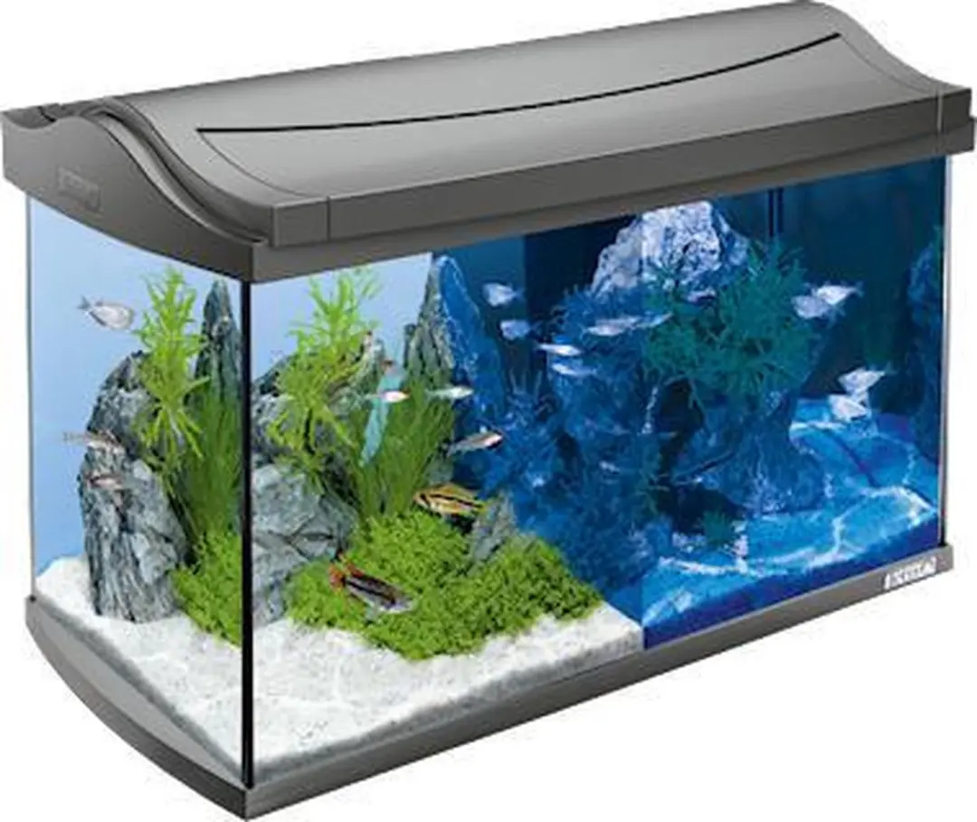 Tetra AquaArt LED Aquarium 30x30x30cm - 20L - Antraciet