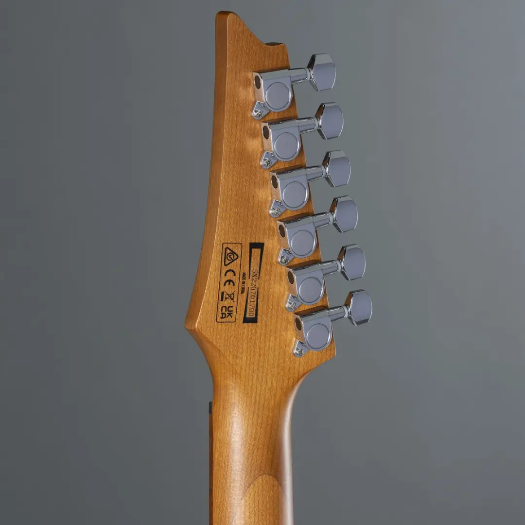 Ibanez GRG121SP Elektrische Gitaar - Blauw