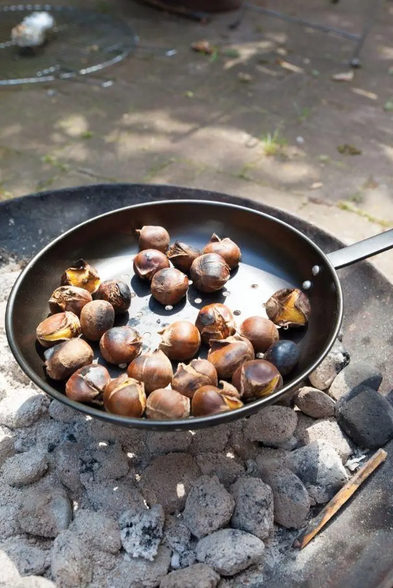 Esschert Design Outdoor Pannenset Popcorn & Kastanje - Zwart