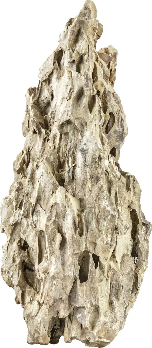 Sera Rock Dragon Stone S/M