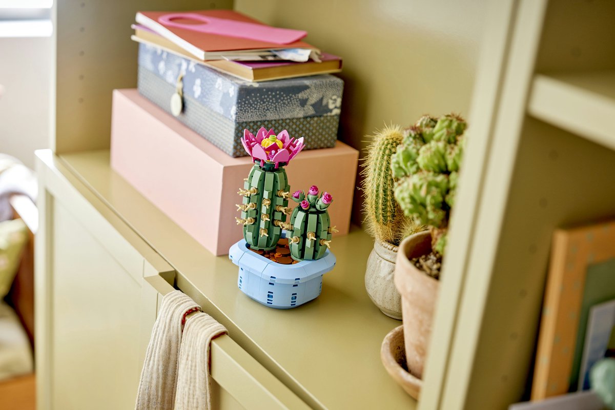 LEGO Botanicals Bloeiende Cactus - Planten Decoratie Set - 11509