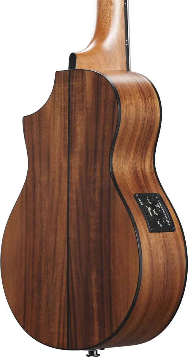 Ibanez EWP12EWB-OPN Western Gitaar - 6 Snaren - Open Pore Natural