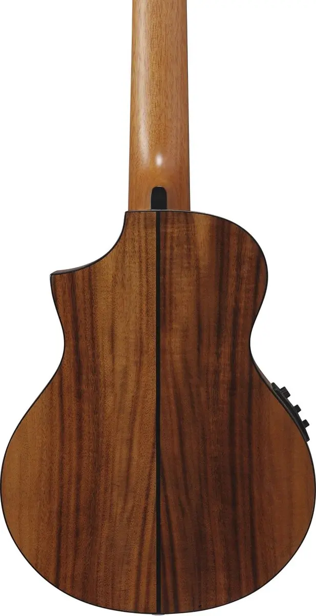 Ibanez EWP12EWB-OPN Western Gitaar - 6 Snaren - Open Pore Natural