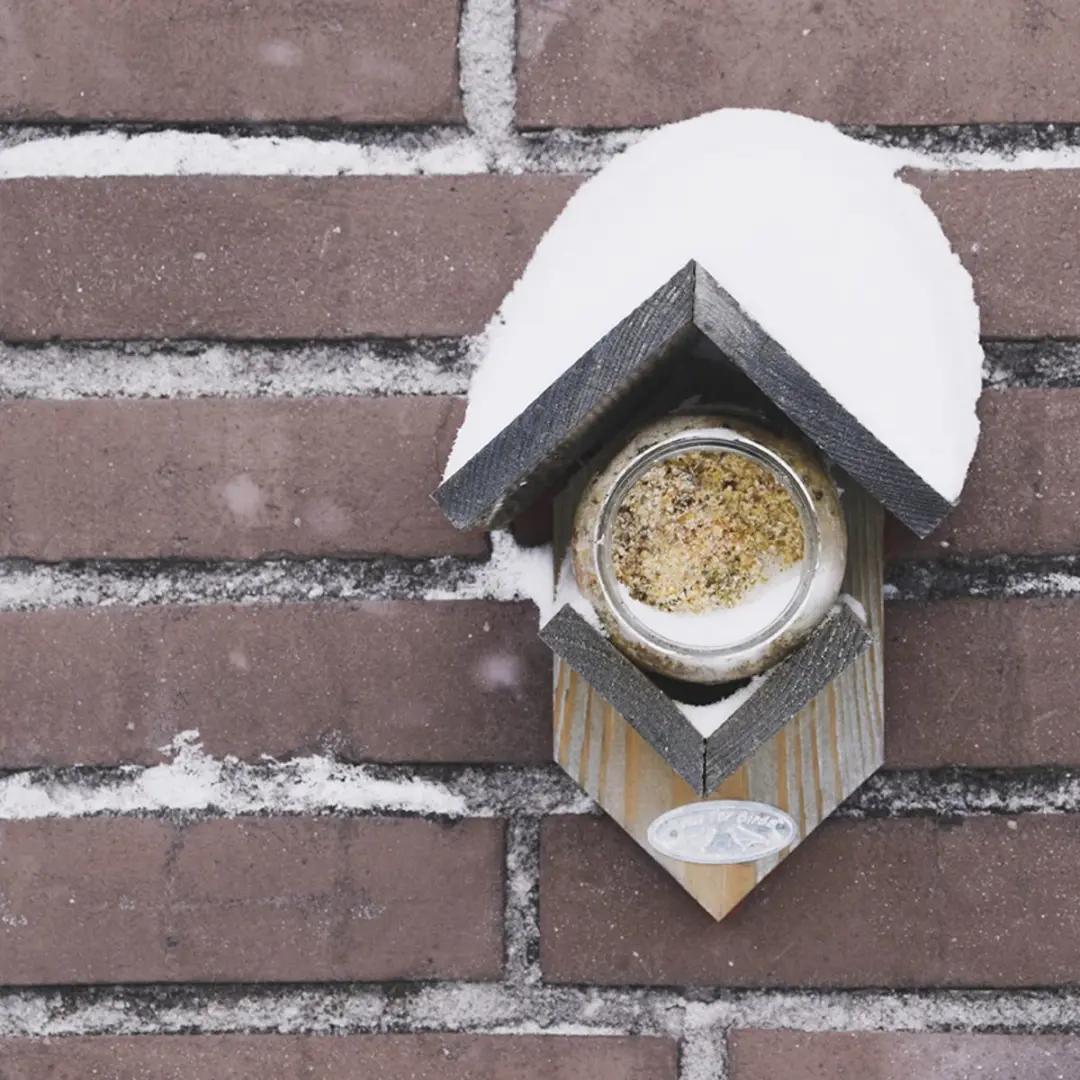 Esschert Design Pindakaas voor Vogels met Noten - 6 Stuks