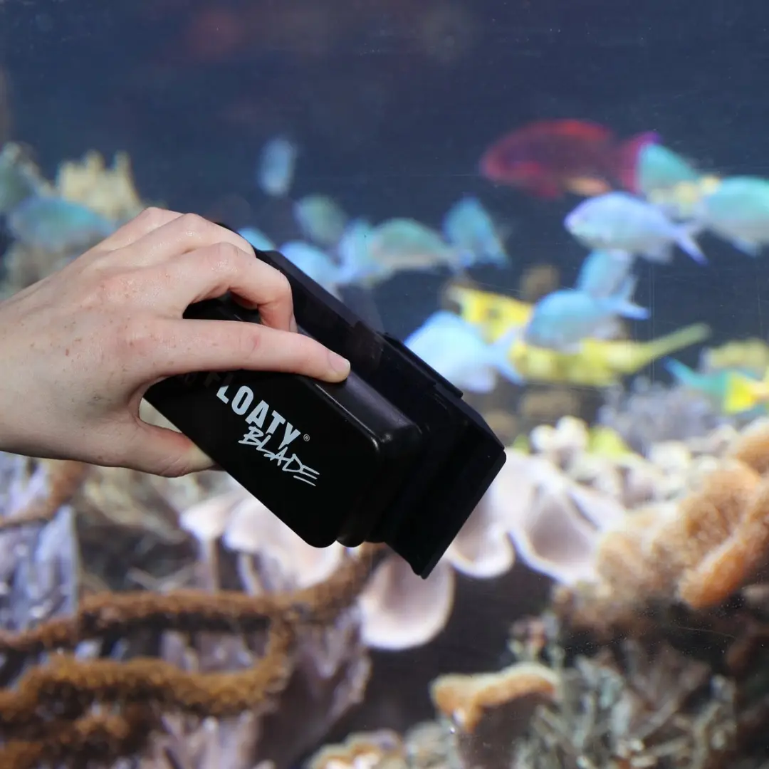 JBL Floaty L Blade Drijvende Aquariumruitreiniger