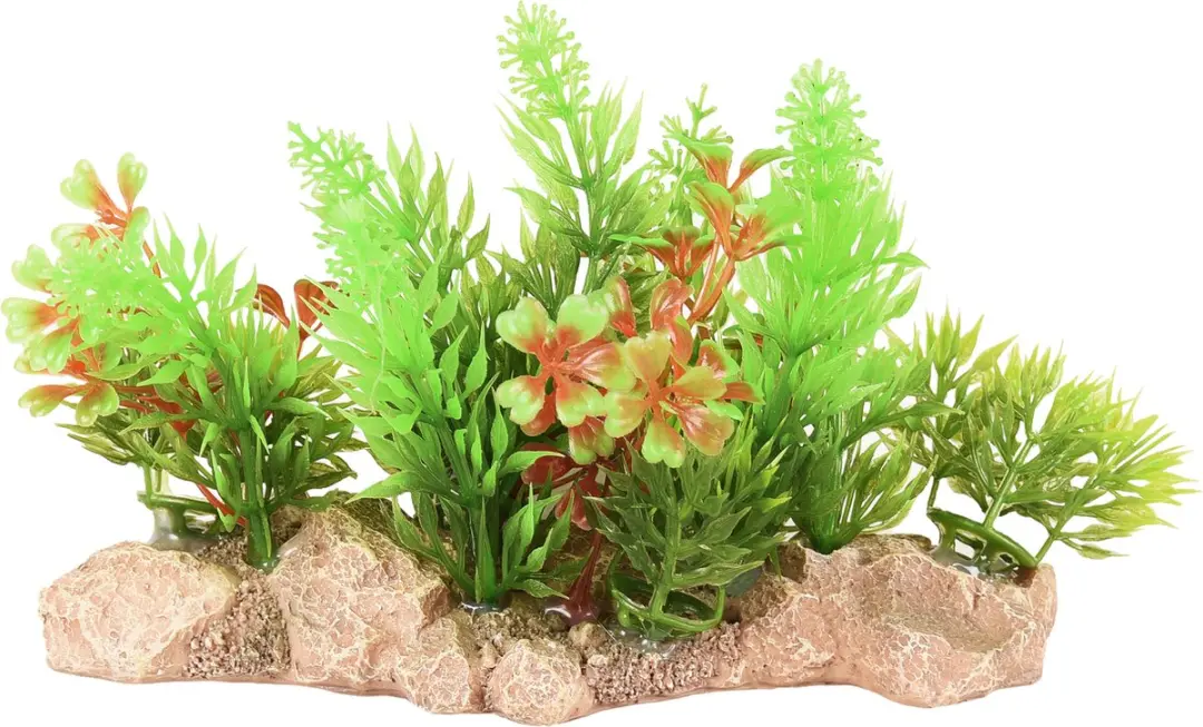 Flamingo Umbra Plant Aquarium