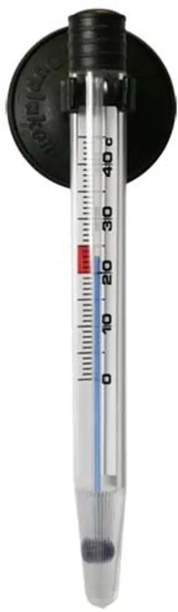 Dupla Thermometer voor Aquarium - Transparant