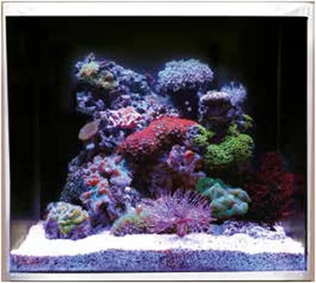 Dupla Marin Cube Set 80 - 80L Aquarium - Wit