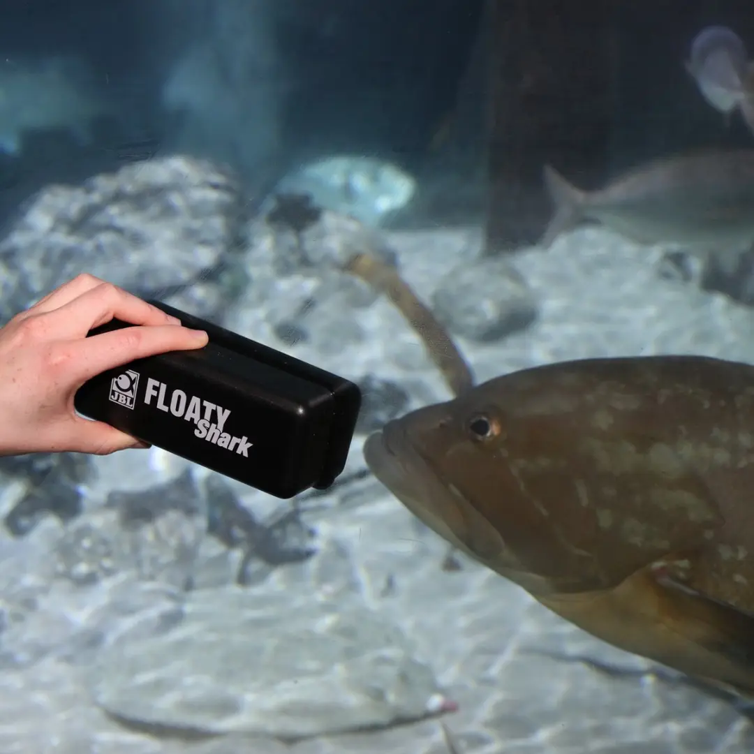JBL Floaty Shark Drijvende Aquariumreiniger - 100.000L