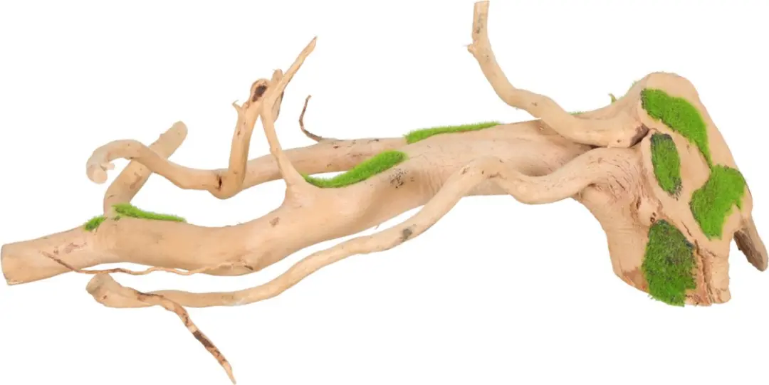 Zolux Spider Root S Aquarium Ornament - 31x18,8x12,4cm