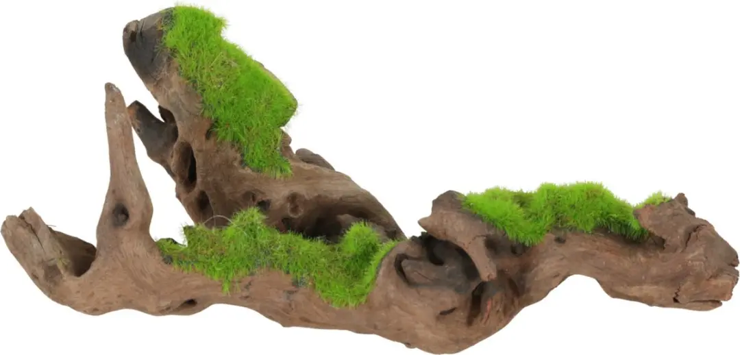 Zolux Malaysia Root S Aquarium Ornament 11x11x17.5cm