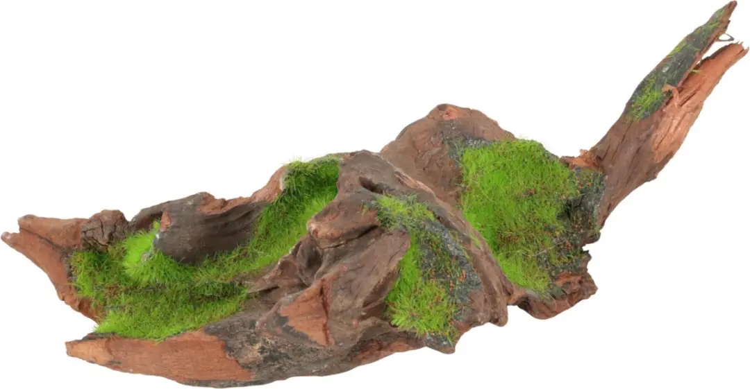 Zolux Malaysia Root S Aquarium Ornament 11x11x17.5cm - Bruin/ Groen