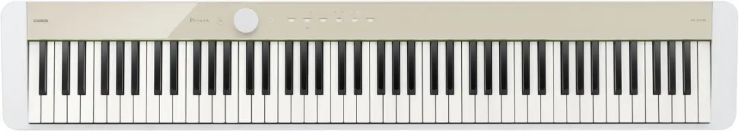Casio PX-S1100 Digitale Piano