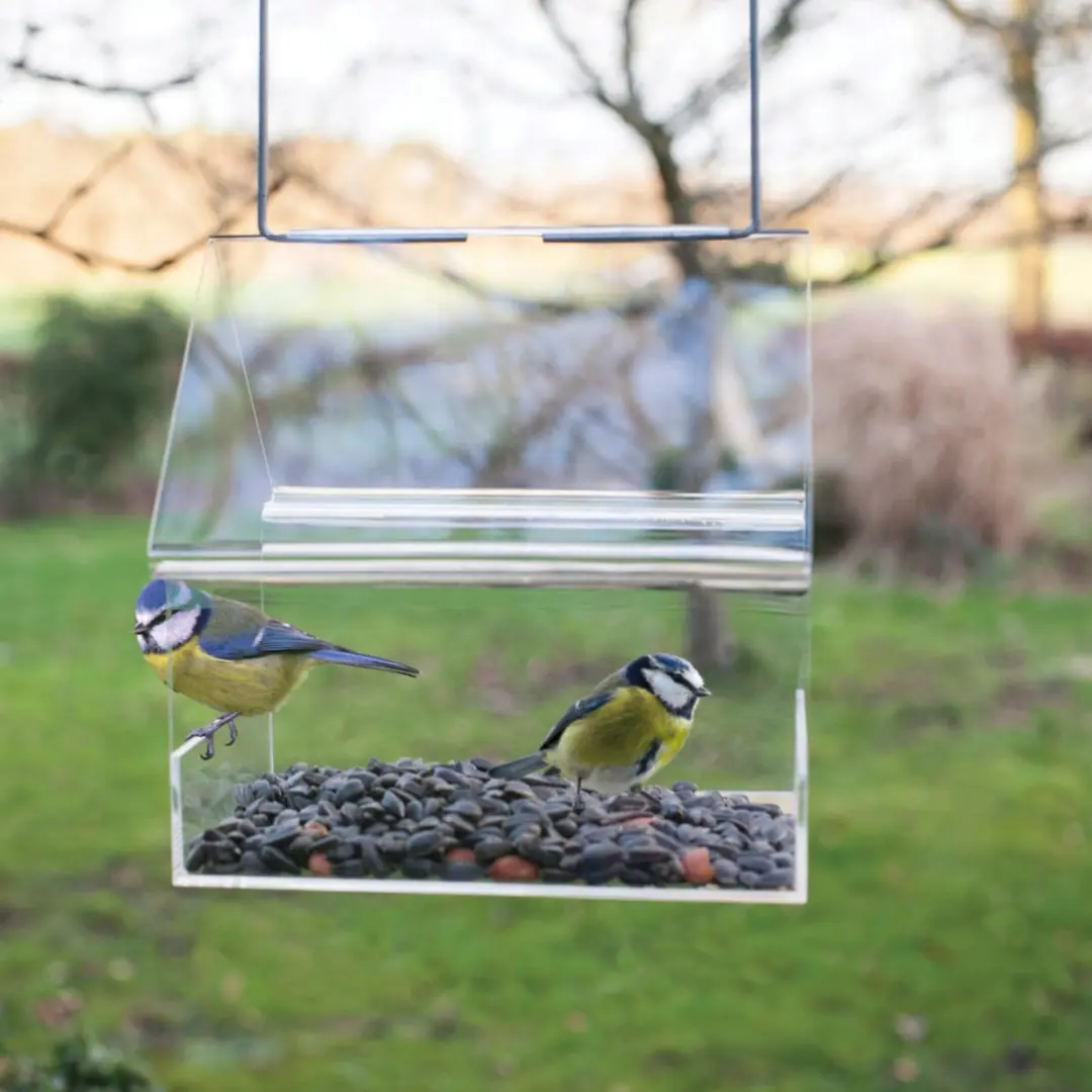 Esschert Design UNO Vogelvoederhuisje Transparant