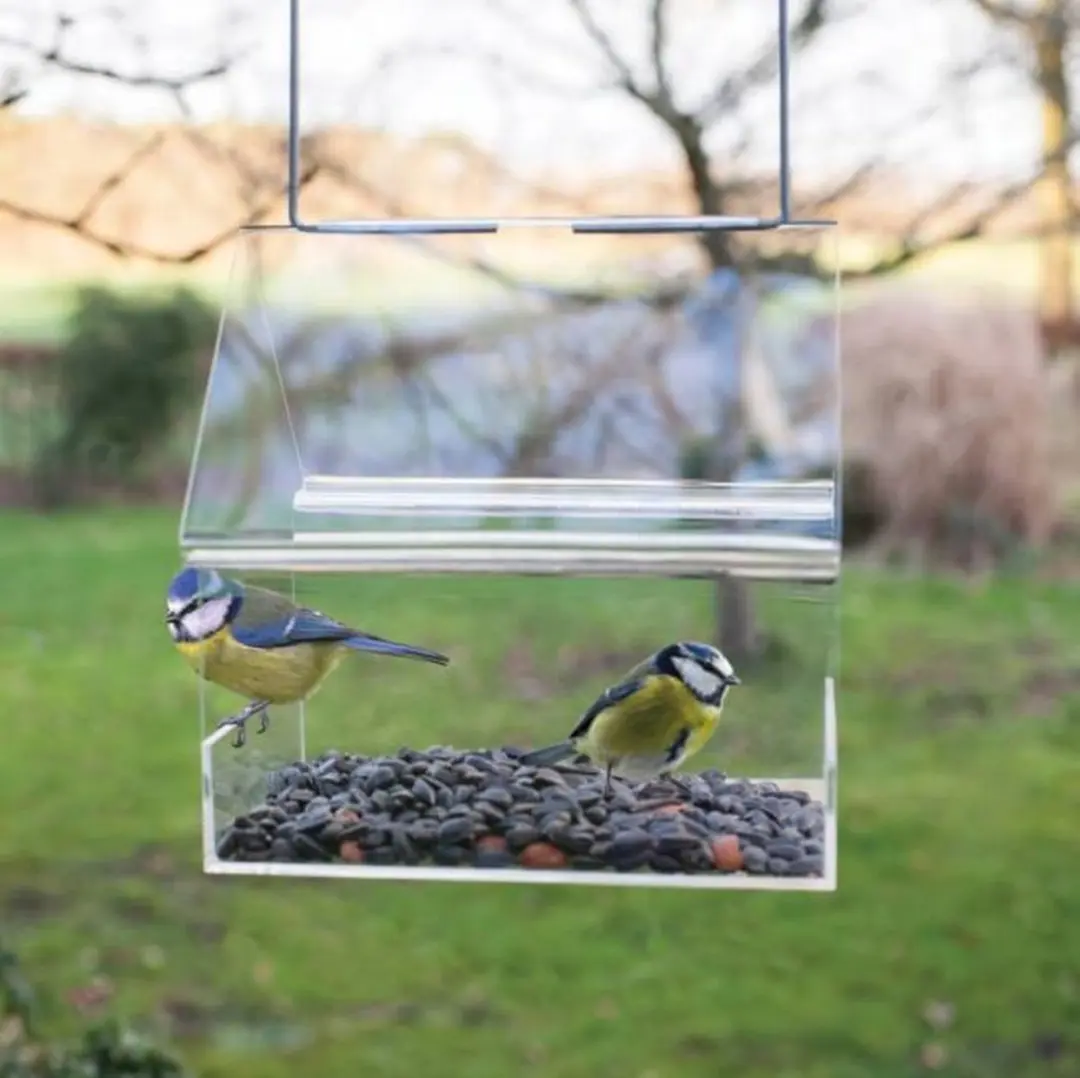 Esschert Design UNO Vogelvoederhuisje Transparant