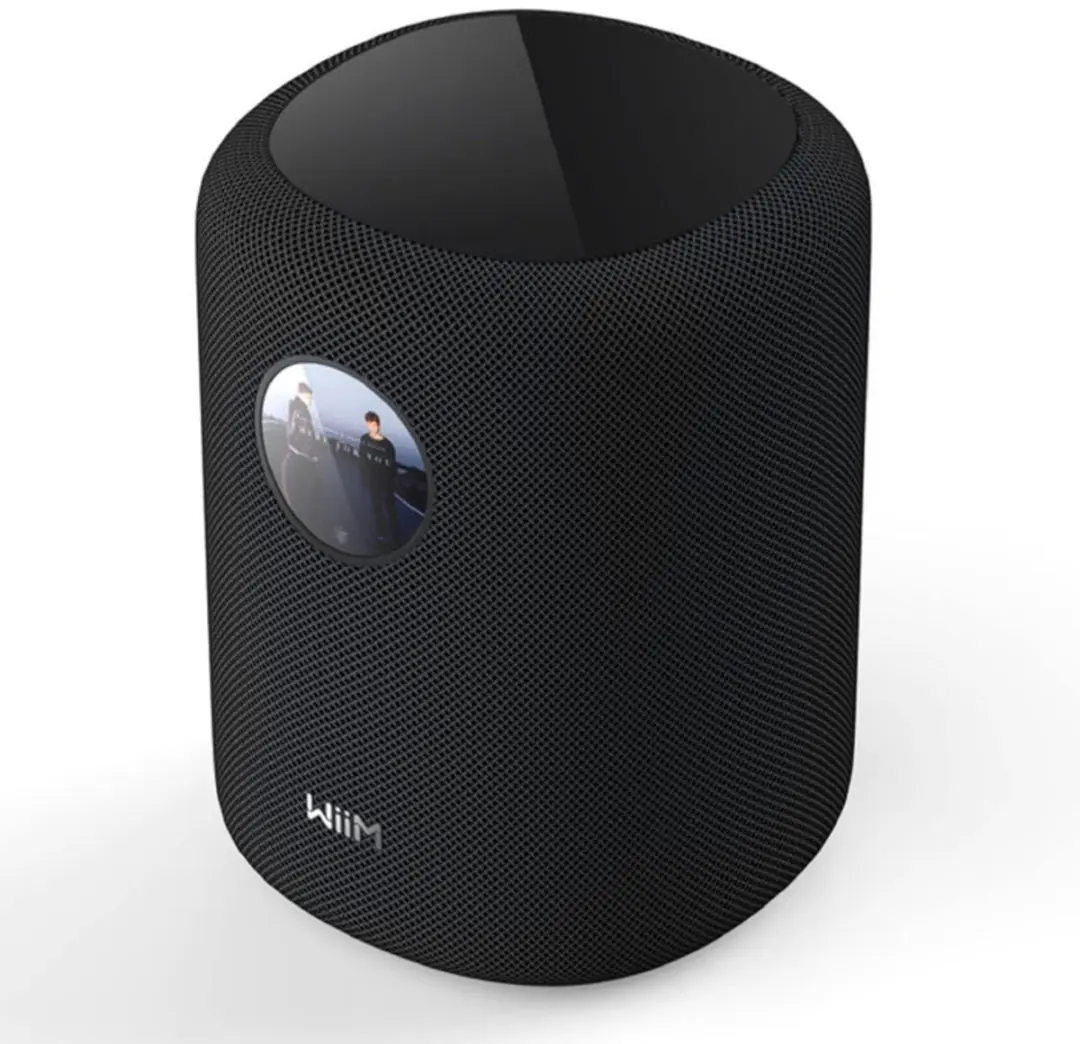 WiiM Sound Luidspreker