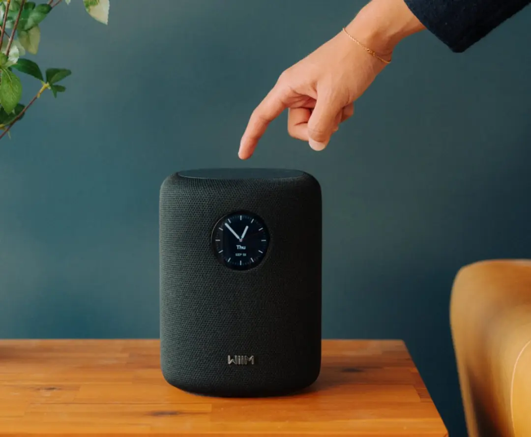 WiiM Sound Luidspreker - Zwart - afbeelding 6 van 6