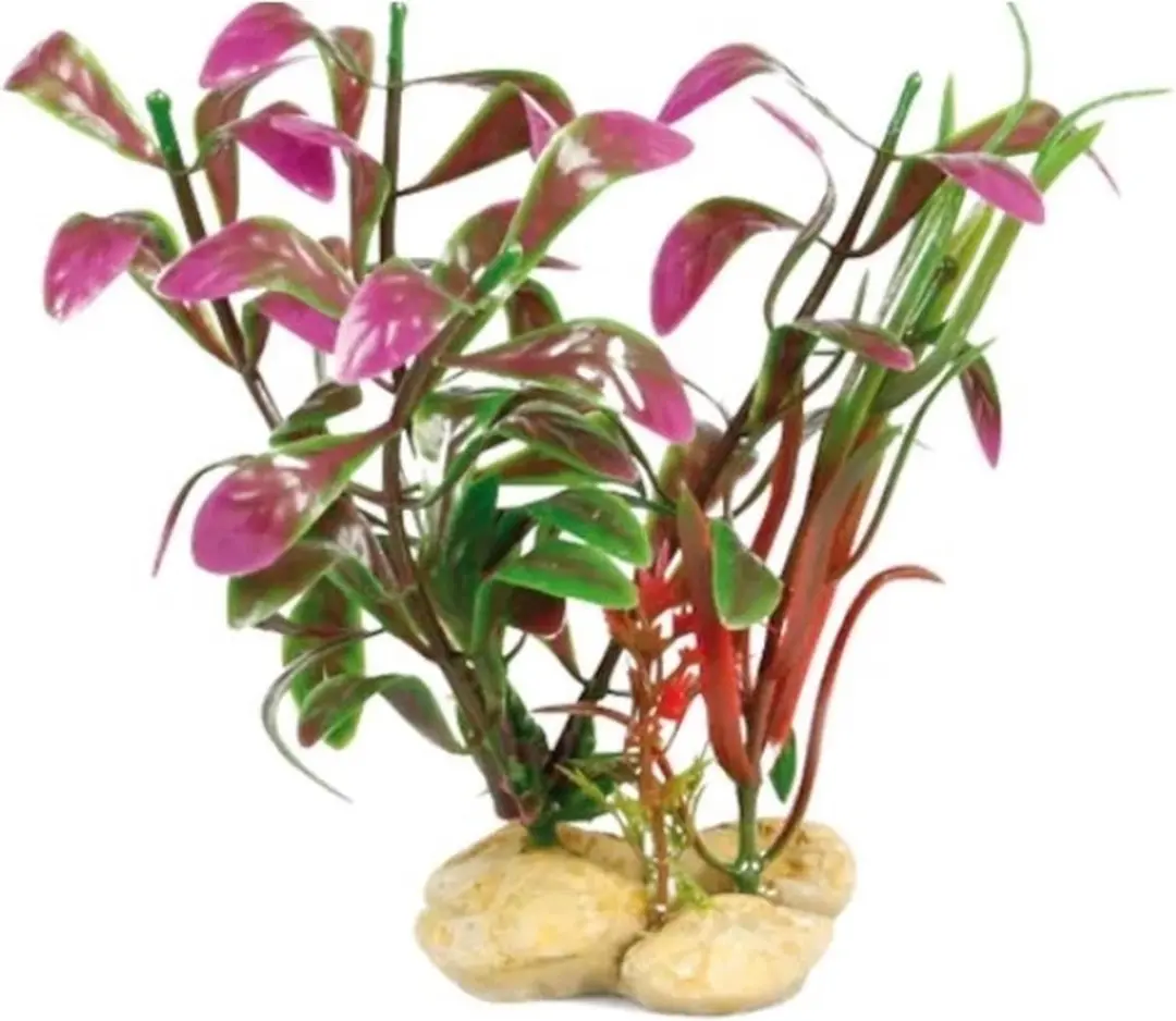 Flamingo Aquariumplant met stenen - 1 Stuk