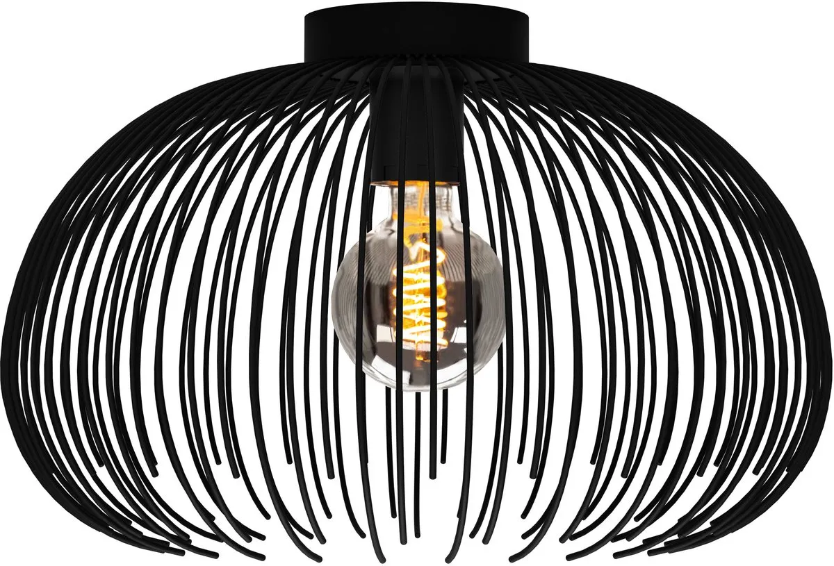 Eglo Venezuela-A Plafondlamp E27