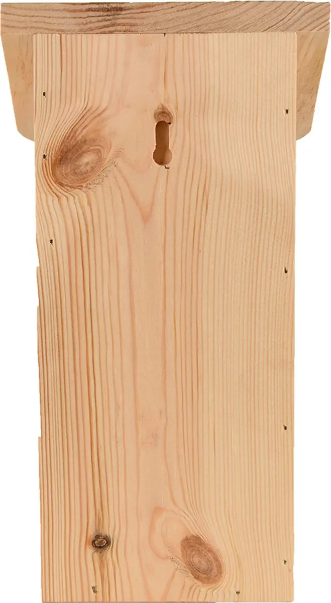 Esschert Design Pimpelmees Vogelhuisje - Hangend - 1 Inloopopening - afbeelding 6 van 6