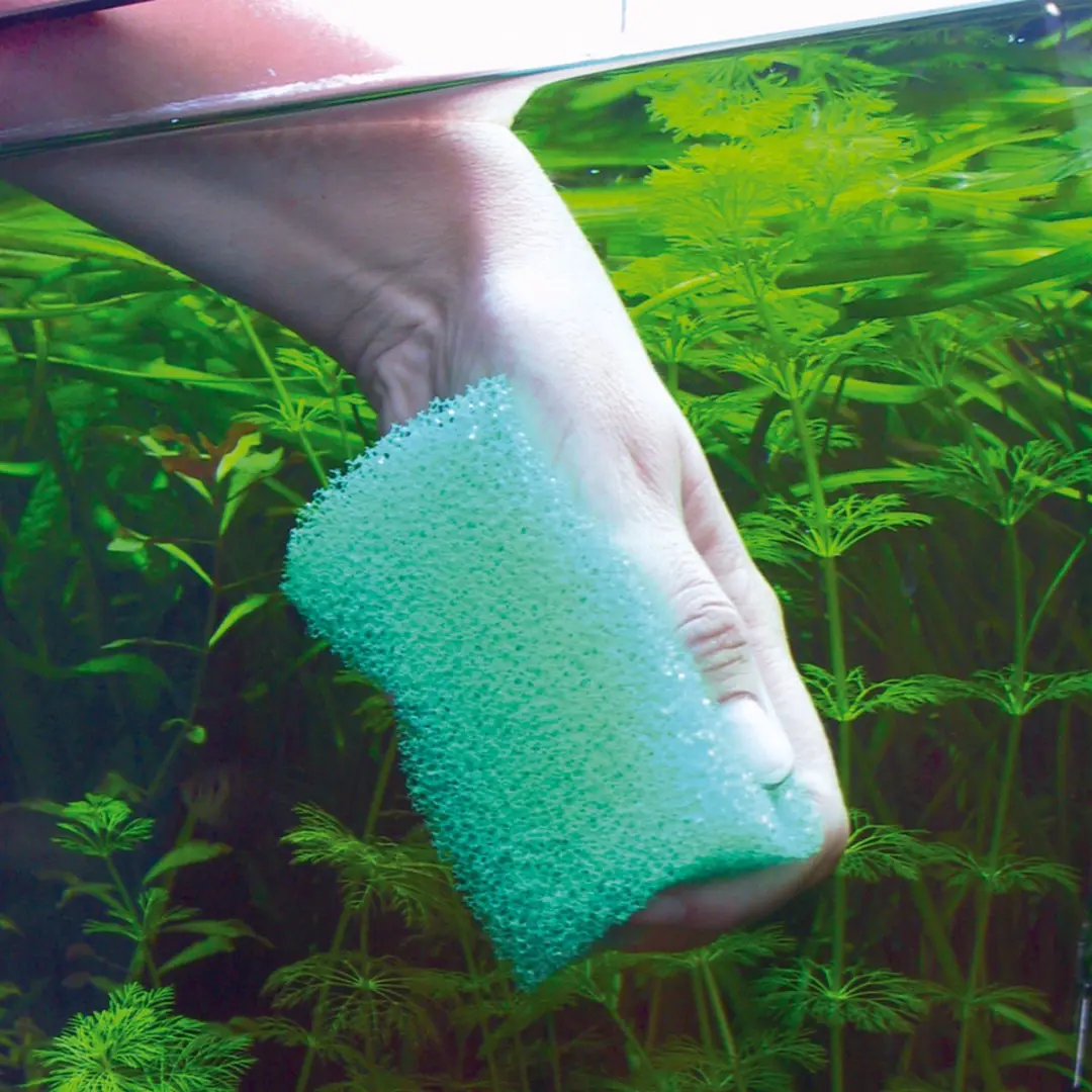 JBL Aquarium Sponzen - Kleur