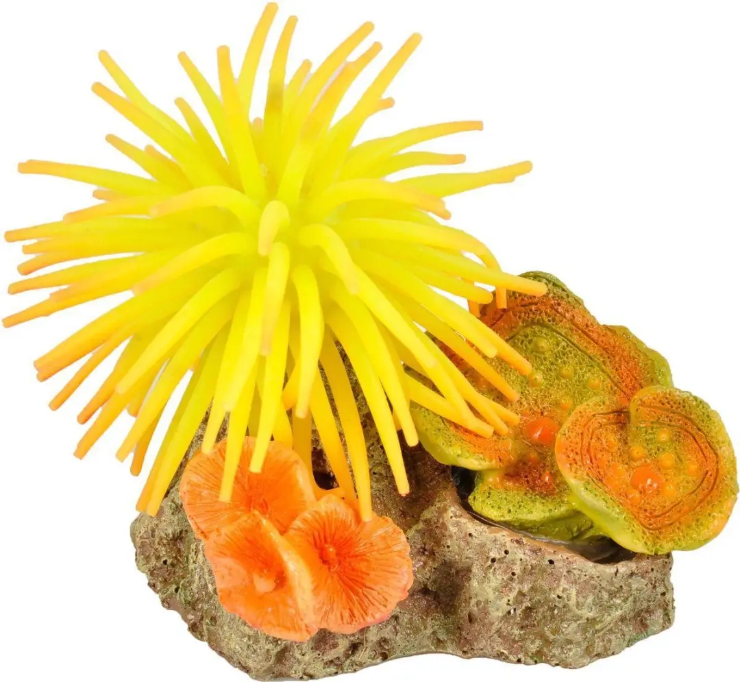Flamingo Aquarium Leo Anemoon+Rots 10x7x7cm