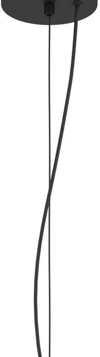Eglo Camasca Hanglamp E27 - Ø28cm - Zwart