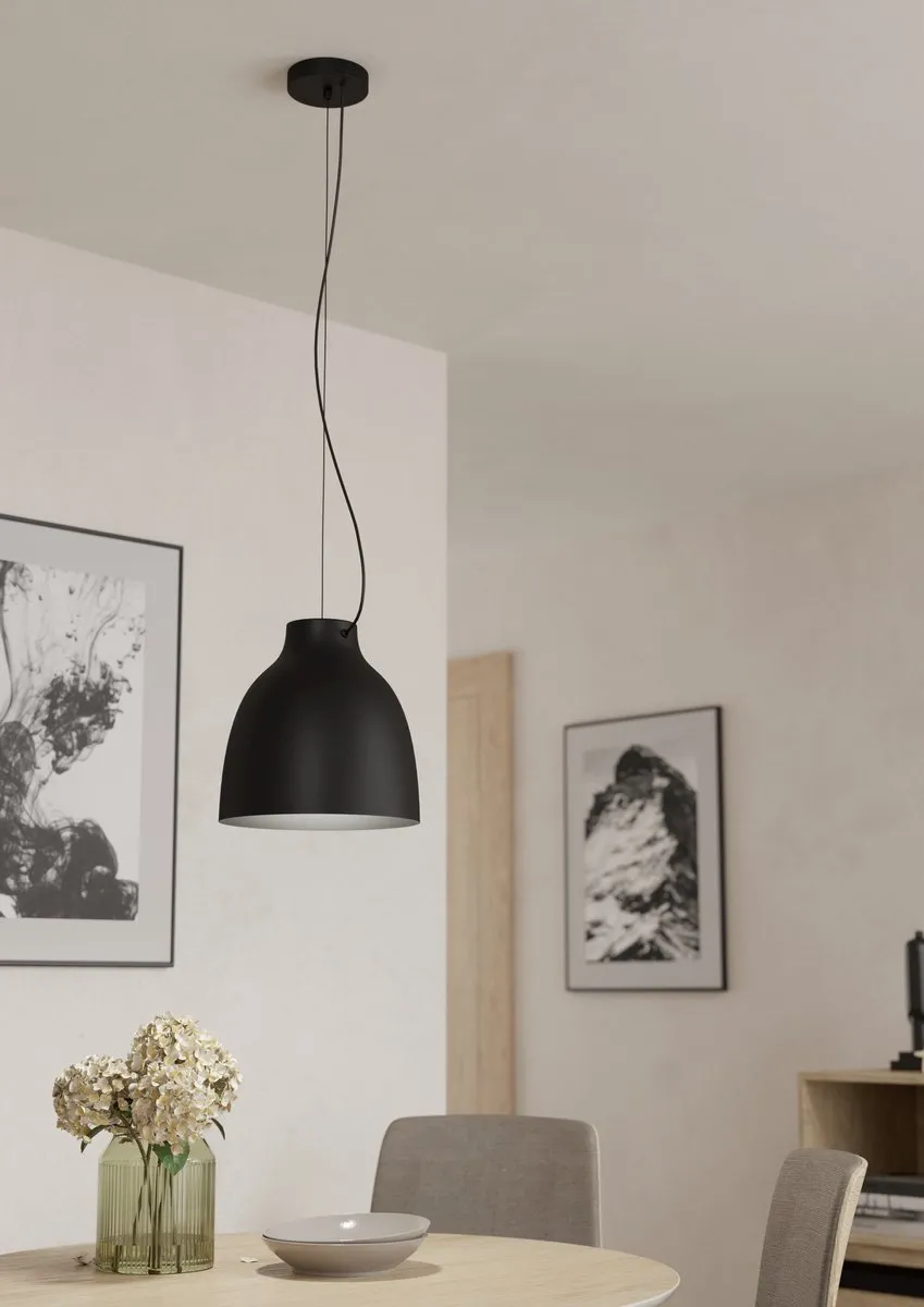 Eglo Camasca Hanglamp E27 - Ø28cm - Zwart