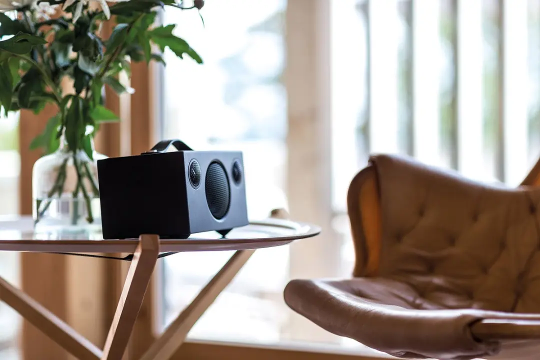 Audio Pro T3+ Draadloze Bluetooth Luidspreker - 25W - Zwart