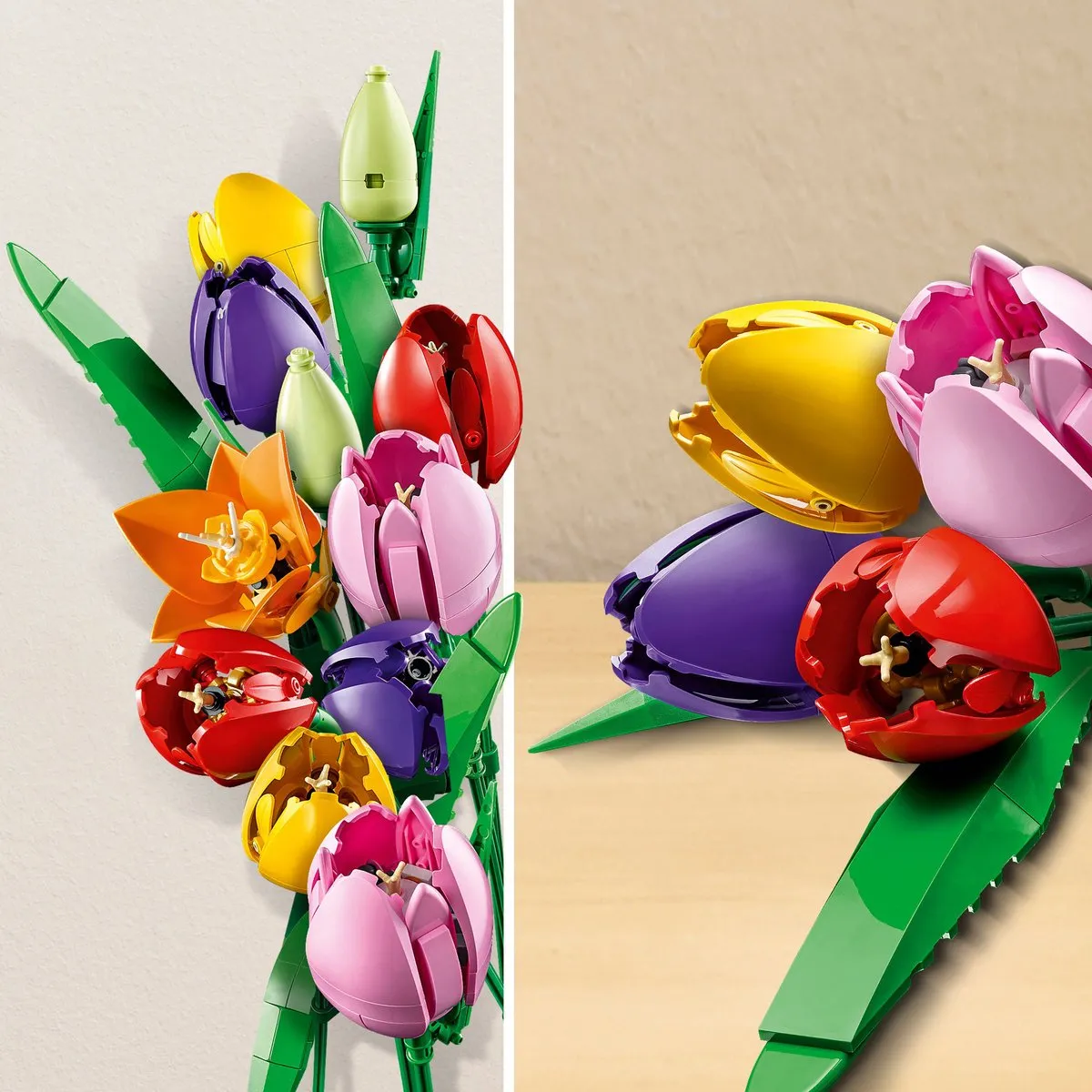 LEGO Botanicals Boeket Tulpen 11501 - 576 Stukken - Multicolor