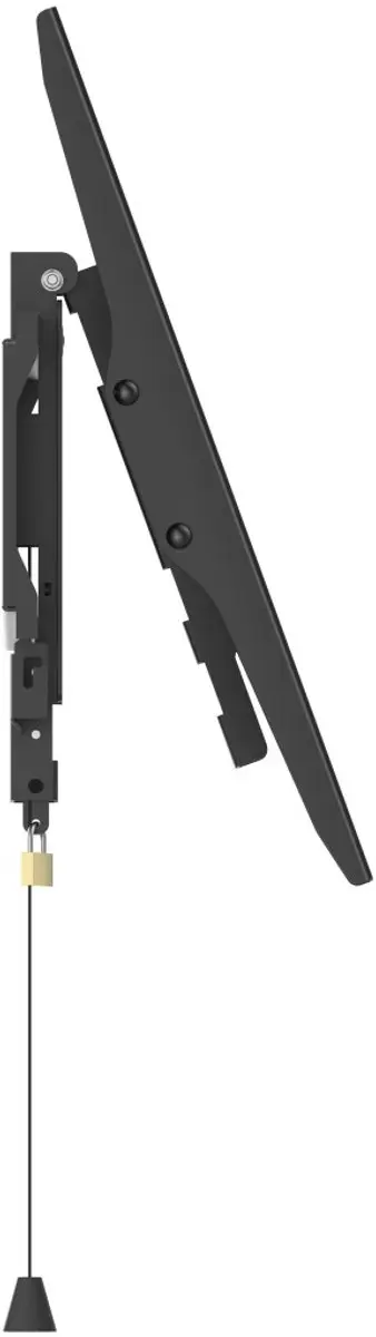 Hama Pro TV Beugel 00220858 - Vast - 65" - 50kg - VESA 400x400 - Antidiefstal