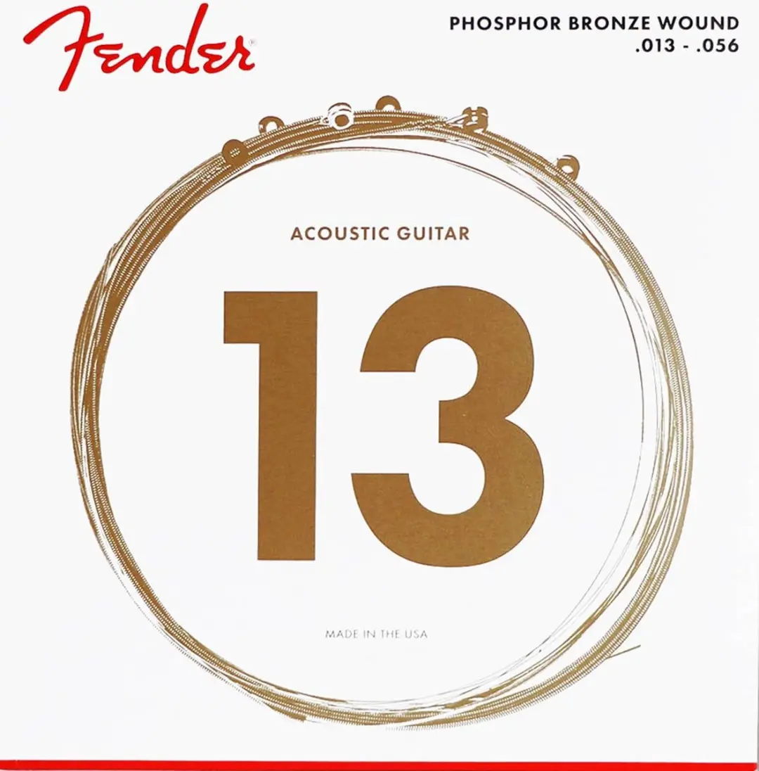 Fender F-60M Snaren Acoustic