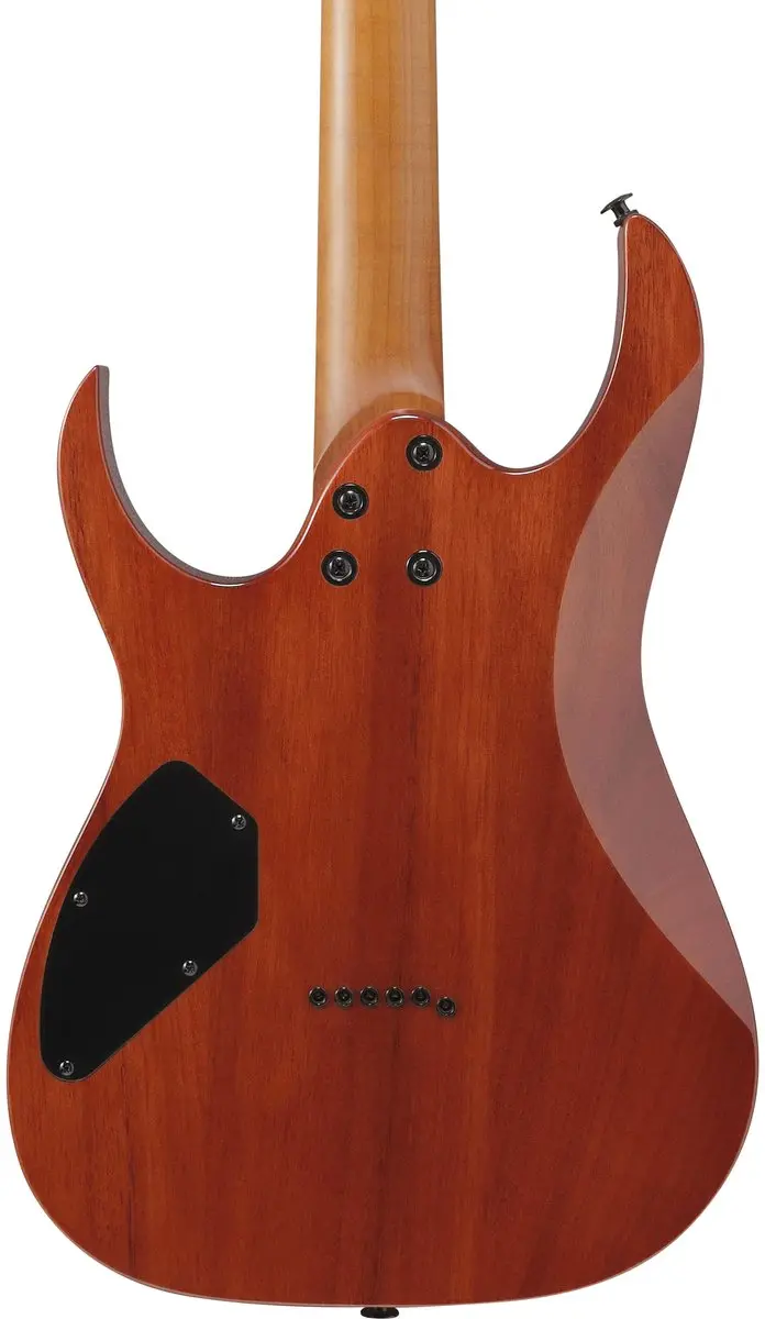 Ibanez Gio GRGR221FA-TDK Elektrische Gitaar - Transparent Indigo Black