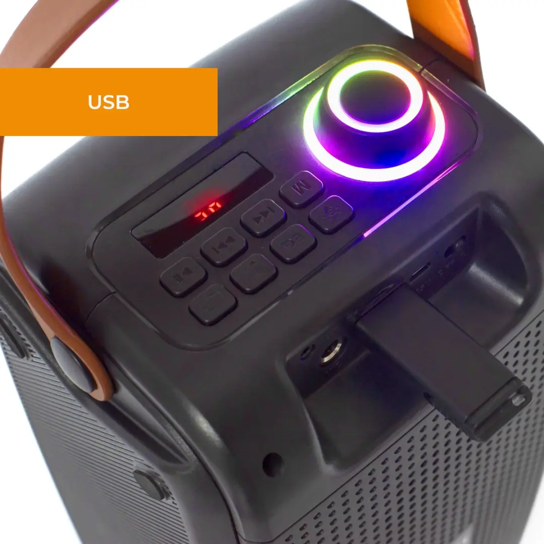 Denver BTV230 Draadloze Bluetooth Speaker - 100W - Zwart