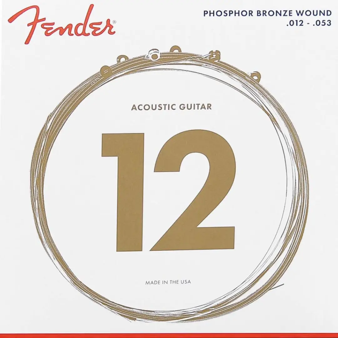 Fender F-60L Snaren Acoustic