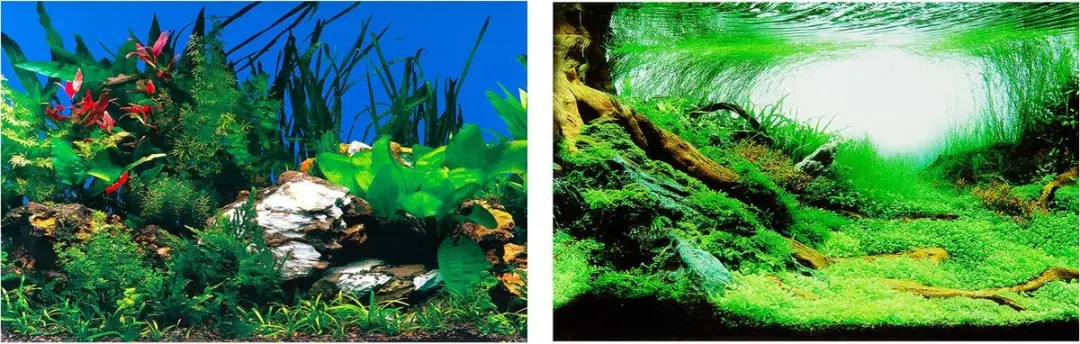 Ferplast Aquarium Achterwand 80x40cm