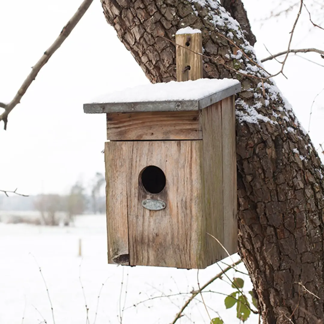 Esschert Design Spreeuw Vogelhuisje - Houtkleur