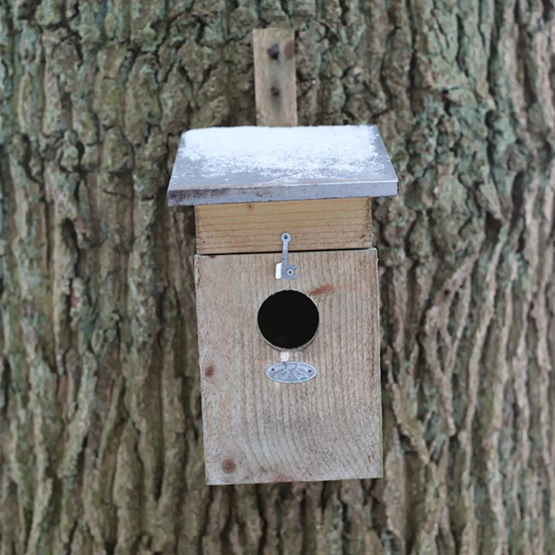 Esschert Design Spreeuw Vogelhuisje - Houtkleur