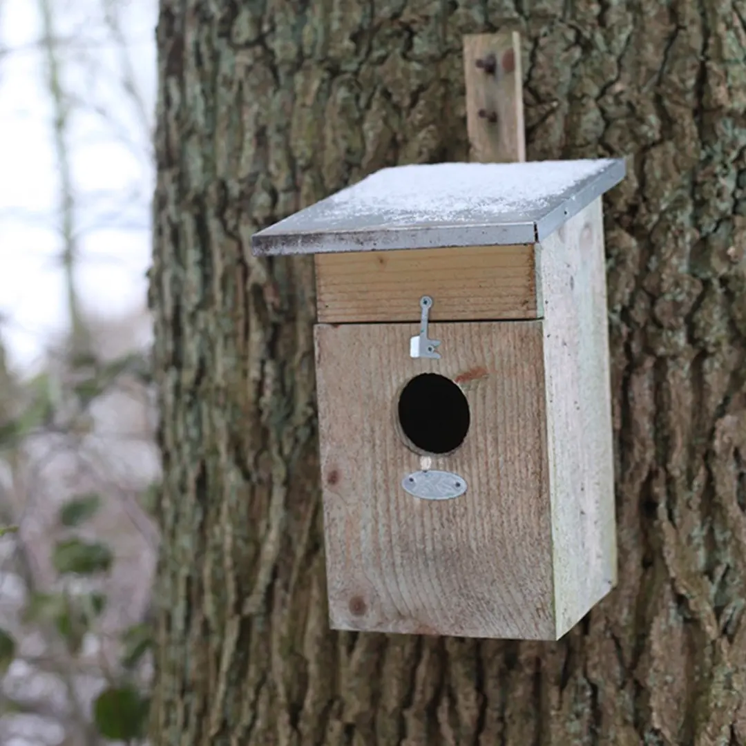 Esschert Design Spreeuw Vogelhuisje - Houtkleur