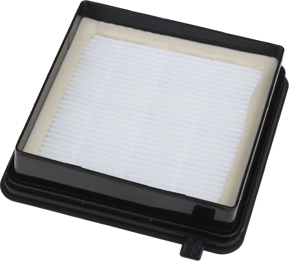 AEG Filter Hygiene H10 AE9930/EAPC54 5201189