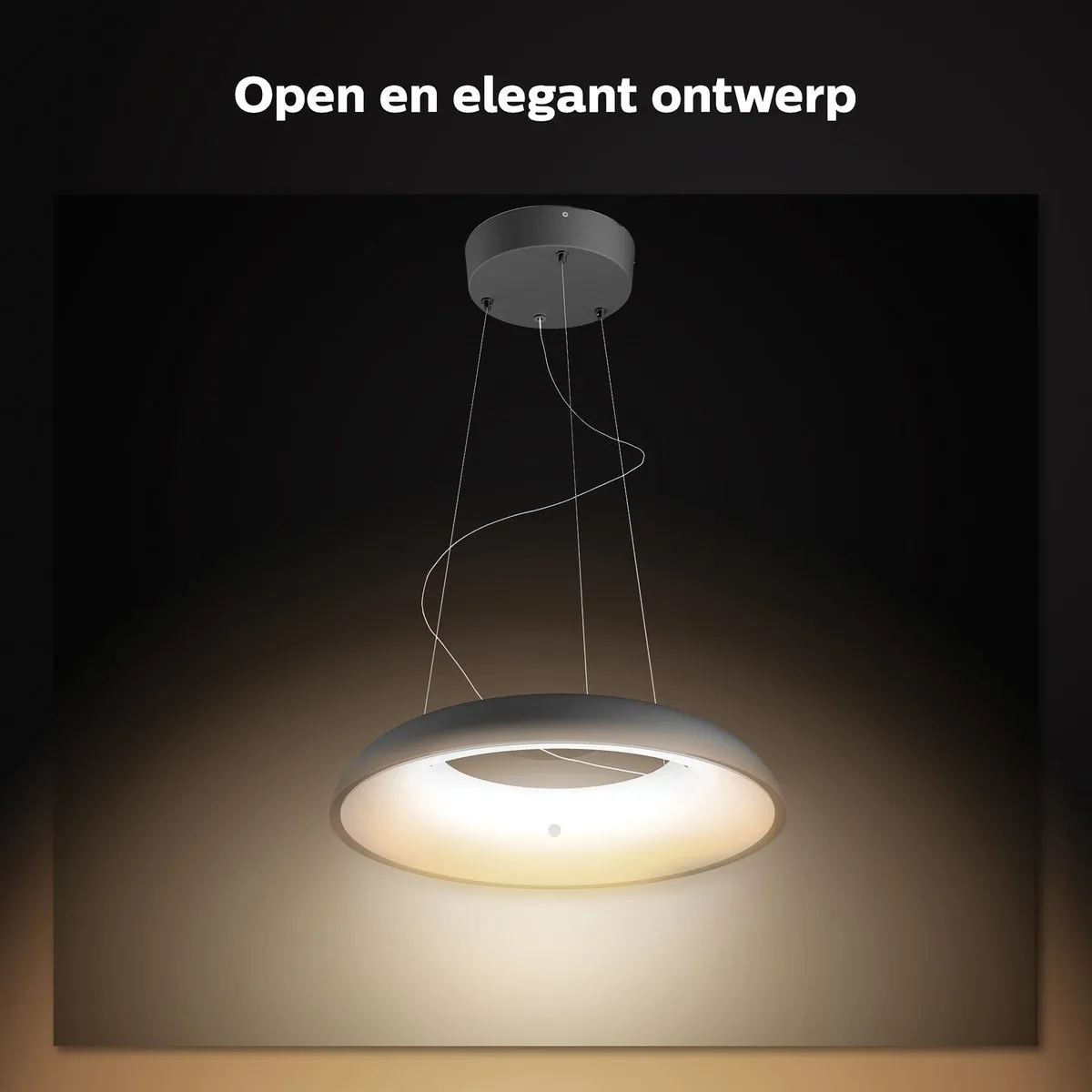 Philips Hue Amaze Hanglamp - Zwart - 2 Lichtpunten