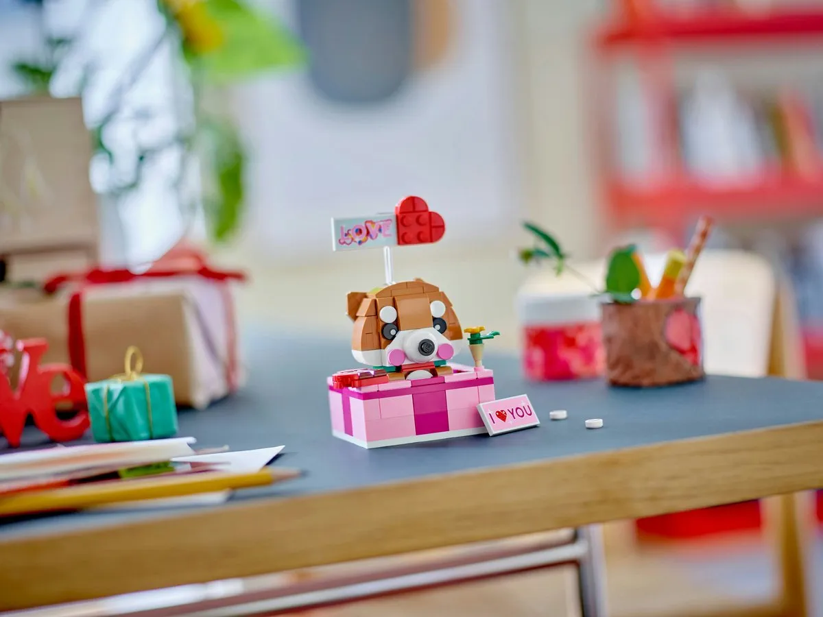 LEGO Valentijn Limited Edition 40679 Liefdesdoosje - 158 Stukken - Roze