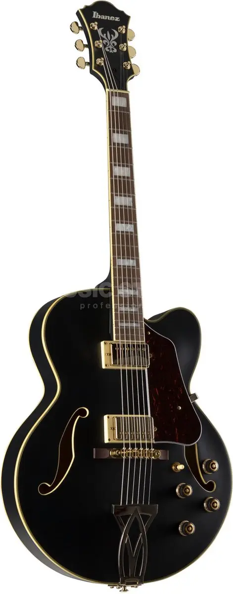 Ibanez Artcore AF75G-BKF Semi-akoestische gitaar